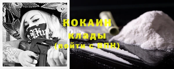 ALPHA PVP Гусев