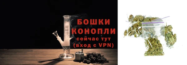 шишки Дмитров