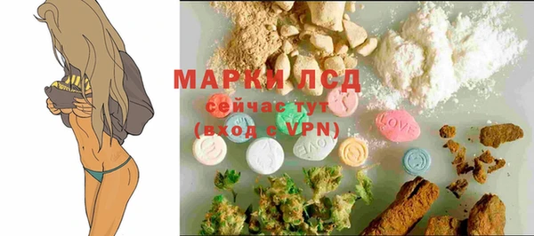 шишки Дмитров