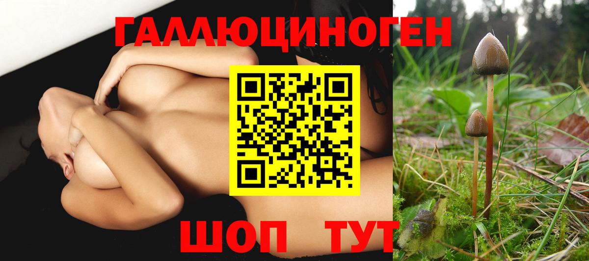 продажа наркотиков  Вход с VPN  Галлюциногенные грибы ЛСД  Майкоп  Псилоцибиновые грибы ЛСД 